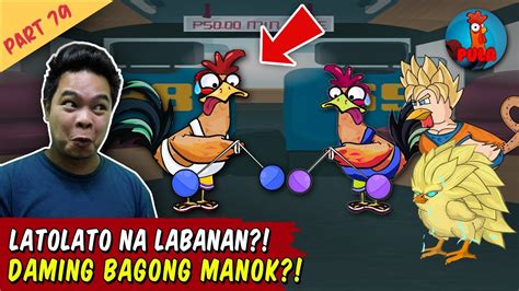 Mga video ng manok na pula .